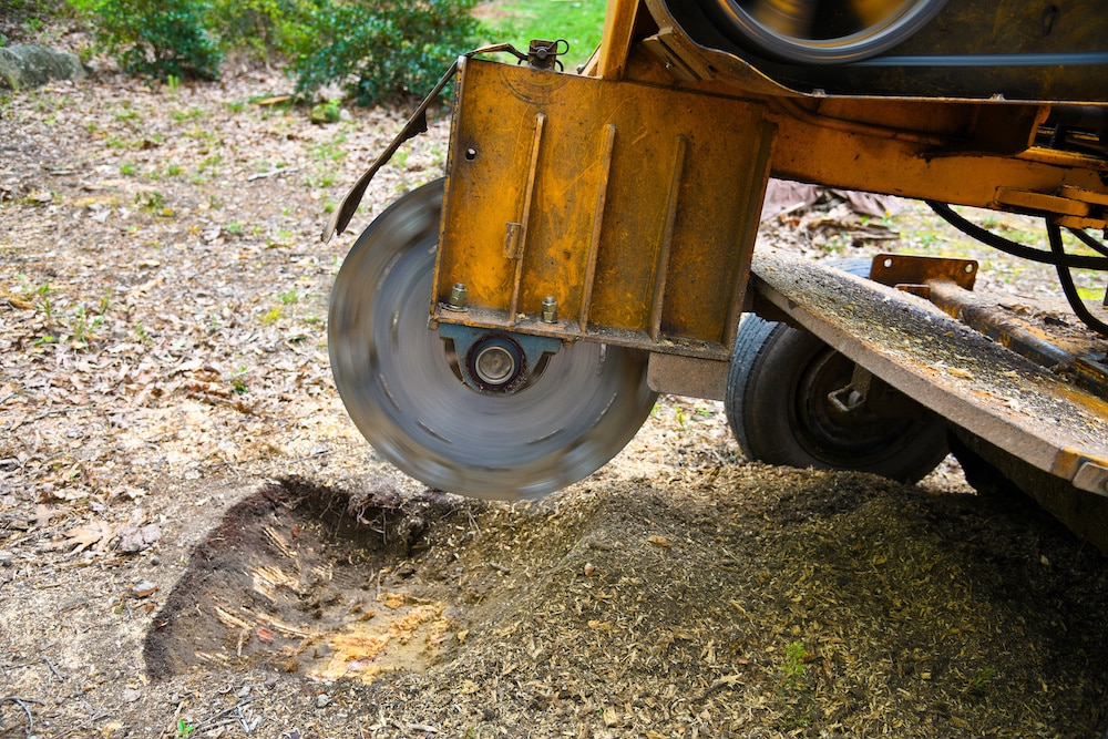 Top Rated Service Stump Grinding