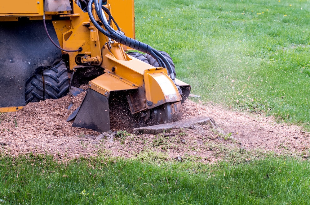 Top Rated Stump Grinding