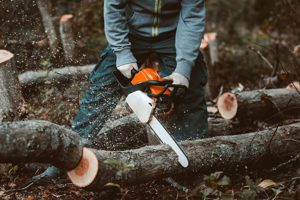 Arborist Chainsaw