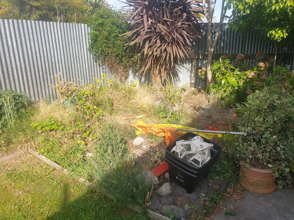 Weed Removal in Garden